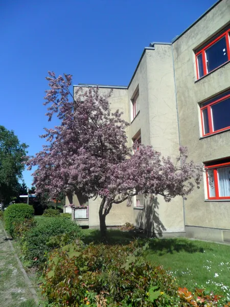 Sanierte große Wohnung — photo 1